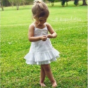 Well Dressed Wolf Sugar Dainty